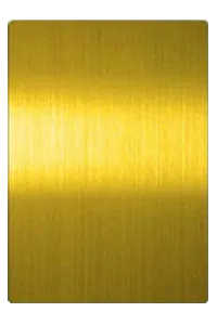 Золото- почищенный щеткой финиш волосяного покрова нержавеющей стали | Металл TBK